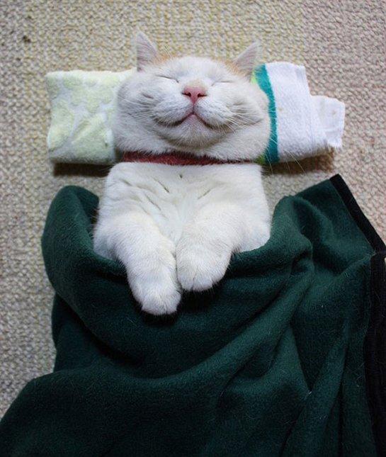 (20)najslatkite-nasmeani-machinja-kafepauza.mk