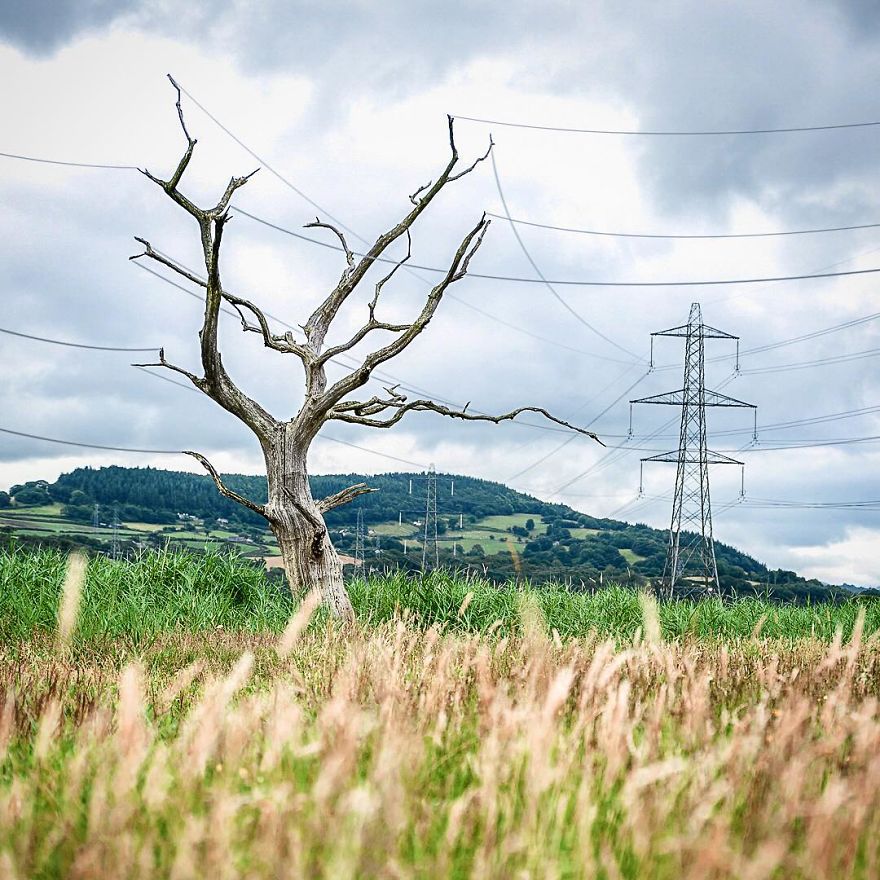 (21)dokolku-fotoshop-bi-imal-smisla-za-humor-eve-shto-bi-napravil-kafepauza.mk