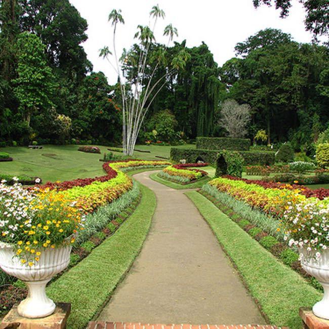 (7)11-idei-za-sovrshen-proleten-sostanok-kafepauza.mk