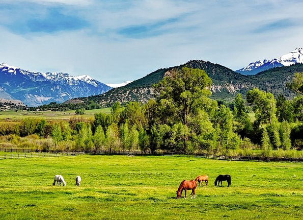 Хумористични причини зошто на богатите луѓе не им е секогаш лесно