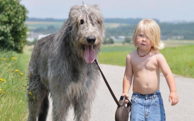 Зошто луѓето живеат подолго од кучињата? 6-годишно дете чие куче починало го открива одговорот