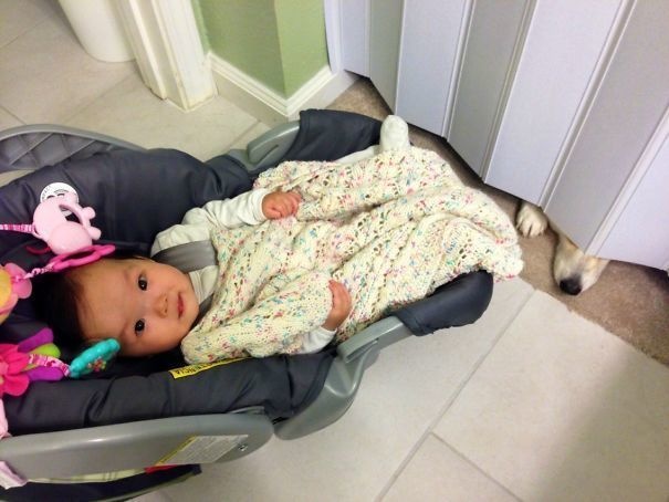 (13)25-kuchinja-koi-sepak-ne-gi-prekrshuvaat-pravilata-kafepauza.mk