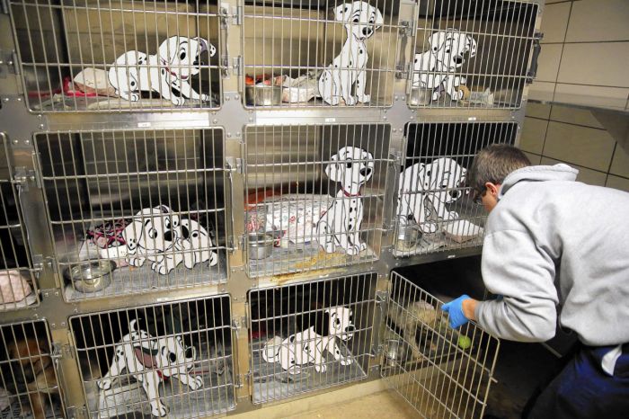 (19)ako-filmovite-na-dizni-bea-realni-ne-sekogash-kje-imaa-srekjen-kraj-kafepauza.mk