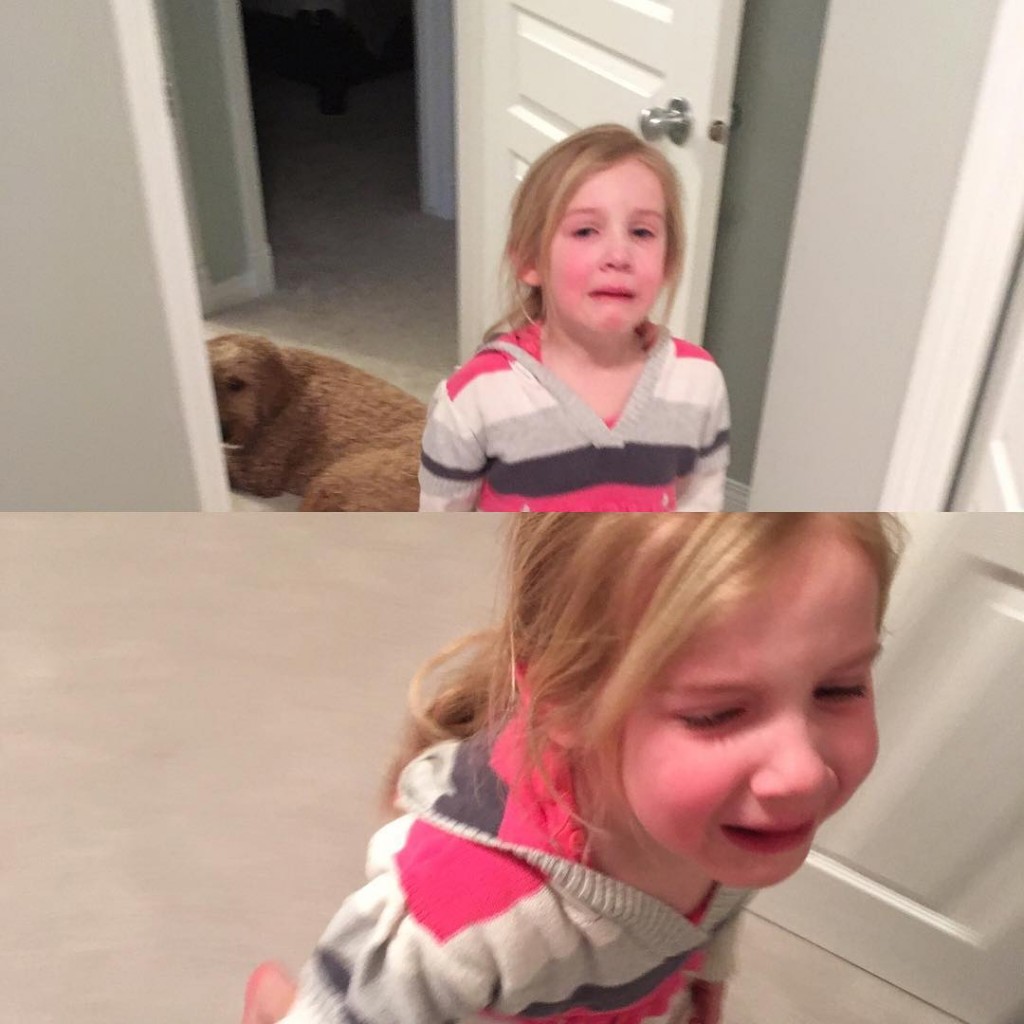 (5)18-urnebesni-fotografii-koi-pokazhuvaat-kolku-e-teshko-da-si-dete-kafepauza.mk