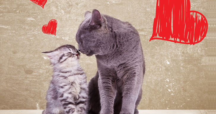 (6)skrienite-zhelbi-na-sekoj-horoskopski-znak-kafepauza.mk