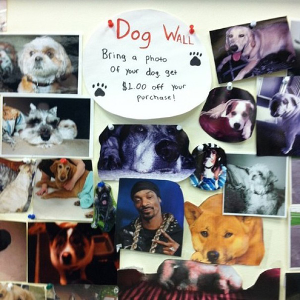 Пронајдете го натрапникот на овие урнебесни фотографии!