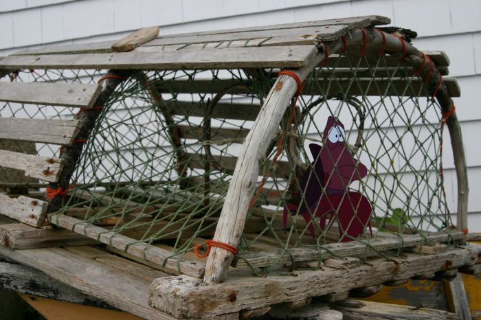 (9)ako-filmovite-na-dizni-bea-realni-ne-sekogash-kje-imaa-srekjen-kraj-kafepauza.mk