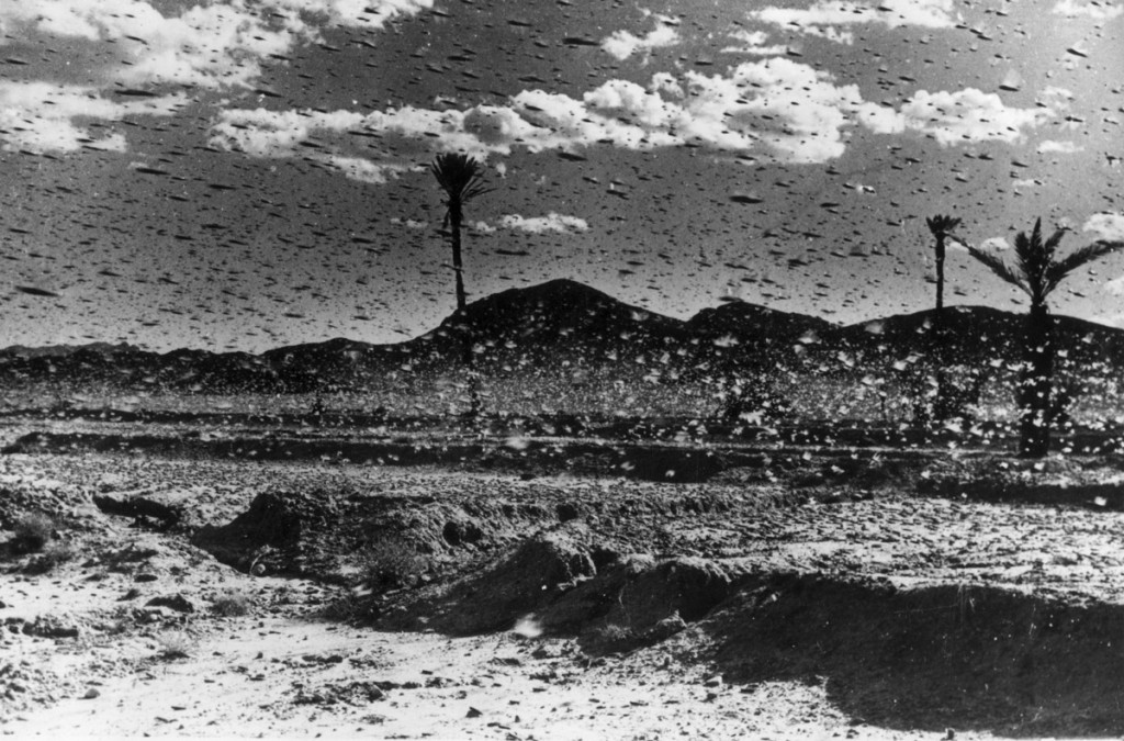 (9)naukata-zad-10-te-bibliski-chumi-kafepauza.mk