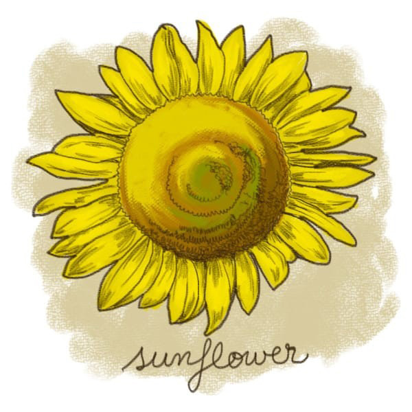 (11)12-rastenija-koi-kje-vi-pomognat-da-se-oslobodite-od-stresot-kafepauza.mk