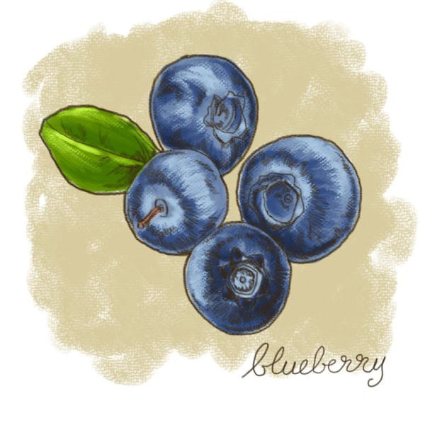 (12)12-rastenija-koi-kje-vi-pomognat-da-se-oslobodite-od-stresot-kafepauza.mk