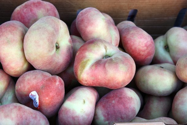 (17)25-najchudni-mitki-predmeti-na-site-vreminja-kafepauza.mk