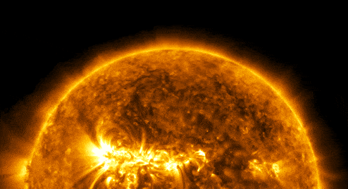 (23)26-fakti-koi-kje-ve-nateraat-da-pomislite-deka-se-laga-kafepauza.mk