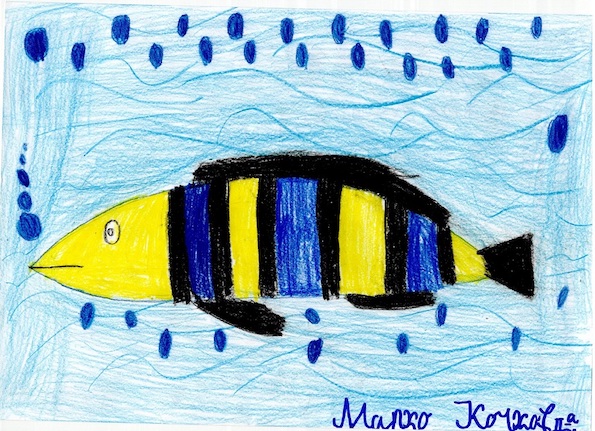 Втора награда: Марко Кочков - 8 години, Скопје