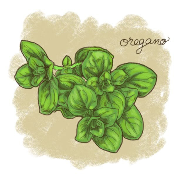 (6)12-rastenija-koi-kje-vi-pomognat-da-se-oslobodite-od-stresot-kafepauza.mk