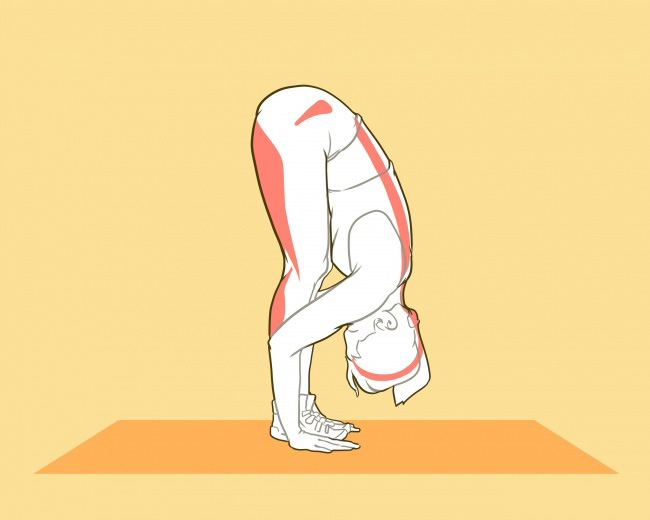 (6)kako-da-stanete-povisoki-i-da-go-podobrite-drzhenjeto-na-teloto-za-edna-nedela-kafepauza.mk