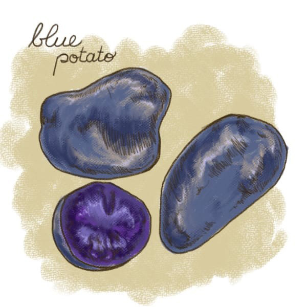 (7)12-rastenija-koi-kje-vi-pomognat-da-se-oslobodite-od-stresot-kafepauza.mk