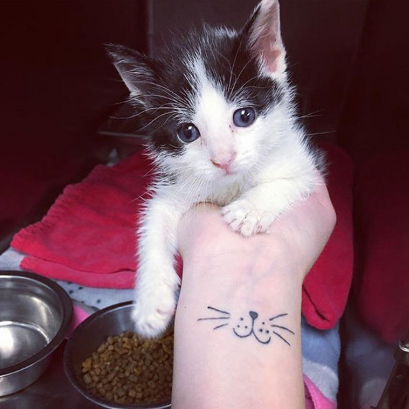 (8) sovrsheni-tetovazhi-za-onie-shto-ne-mozhat-da-si-go-zamislat-zhivotot-bez-machka-www.kafepauza.mk