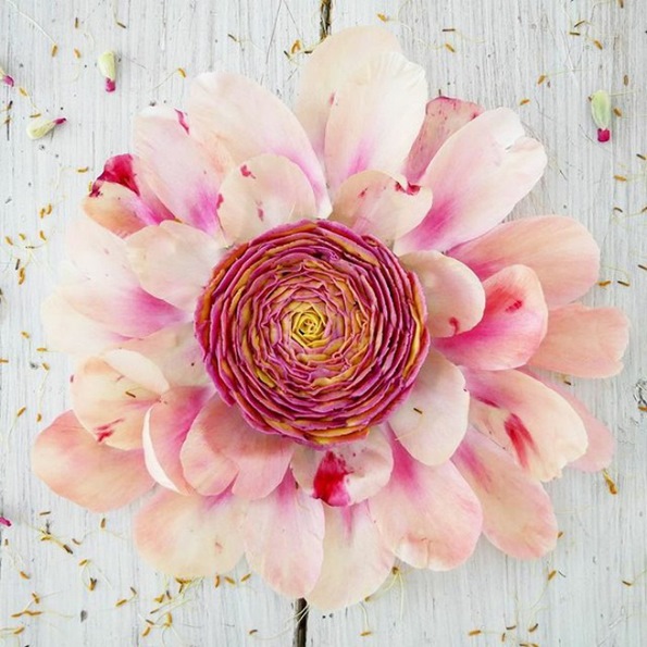 Не ви доаѓа да ги помирисате? Запознајте ја слаткарката од Берлин која дизајнира цветни торти