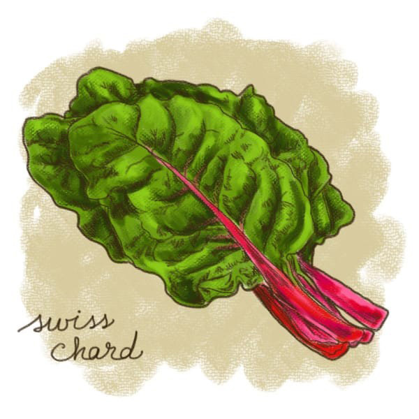 (9)12-rastenija-koi-kje-vi-pomognat-da-se-oslobodite-od-stresot-kafepauza.mk