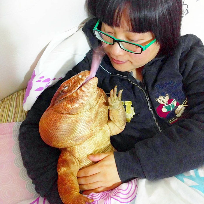 (12)gushter-so-golemina-na-kuche-e-najnovata-senzacija-na-instagram-kafepauza.mk