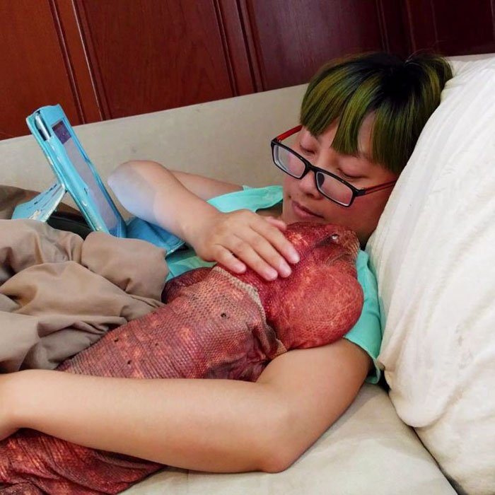 (14)gushter-so-golemina-na-kuche-e-najnovata-senzacija-na-instagram-kafepauza.mk