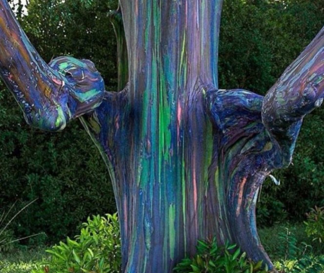 (18)22-fotografii-od-neverojatni-prirodni-fenomeni-kafepauza.mk