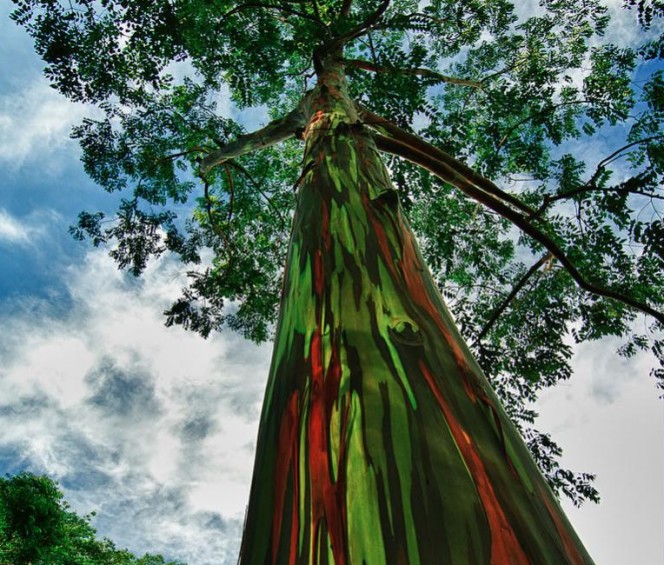 (19)22-fotografii-od-neverojatni-prirodni-fenomeni-kafepauza.mk