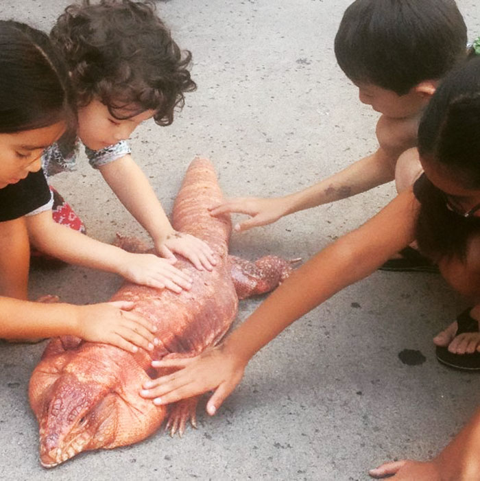 (6)gushter-so-golemina-na-kuche-e-najnovata-senzacija-na-instagram-kafepauza.mk