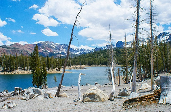 Дознајте кои се 10-те најопасни води во светот