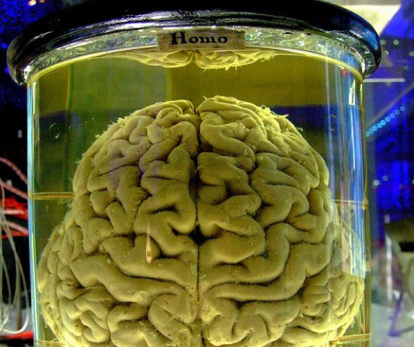 (7)10-neverojatni-teorii-koi-kje-japromenat-vashata-percepcija-za-svetot-kafepauza.mk