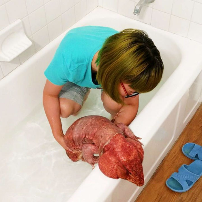 (8)gushter-so-golemina-na-kuche-e-najnovata-senzacija-na-instagram-kafepauza.mk