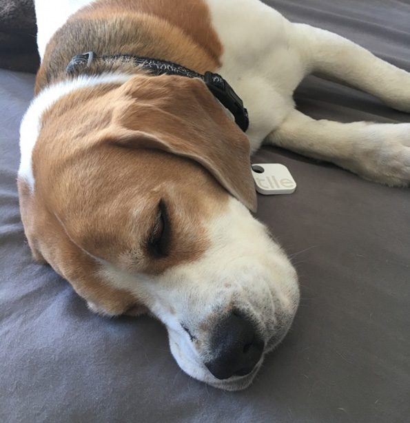 10 корисни уреди кои најверојатно не сте знаеле дека постојат