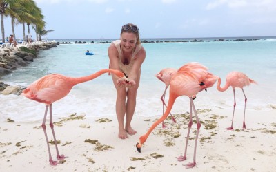 Погледнете ја оваа приватна плажа во Аруба каде што можете да се сончате со фламинга
