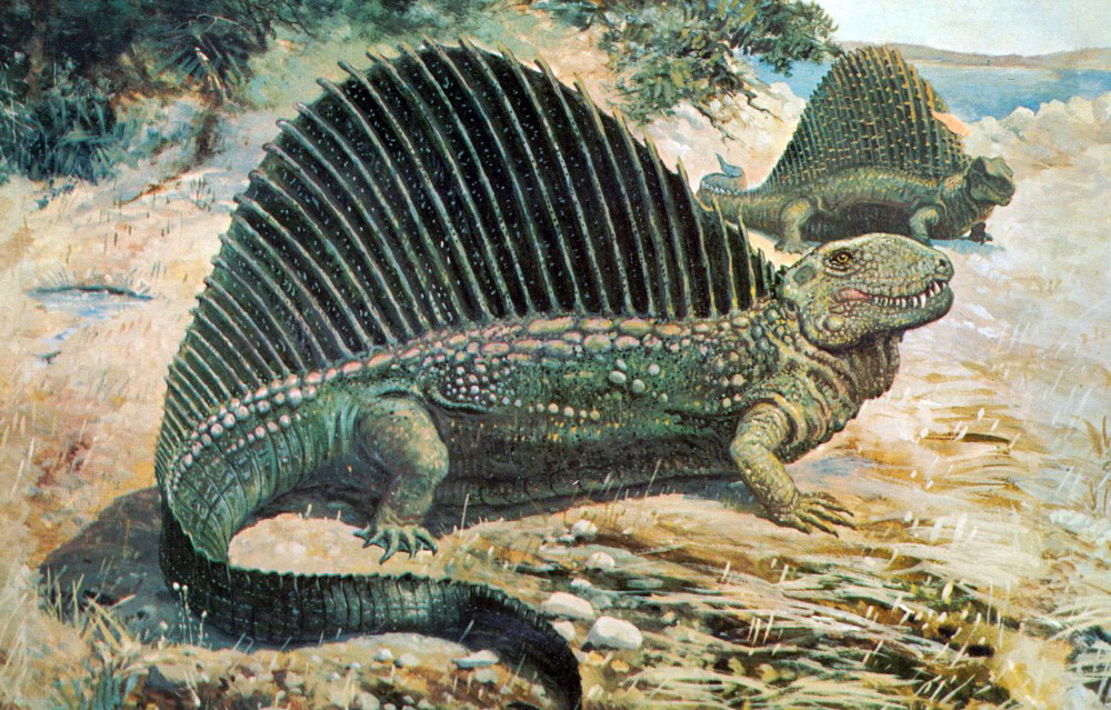 (12)13-mitovi-za-dinosaurusite-koi-ne-se-tochni-kafepauza.mk