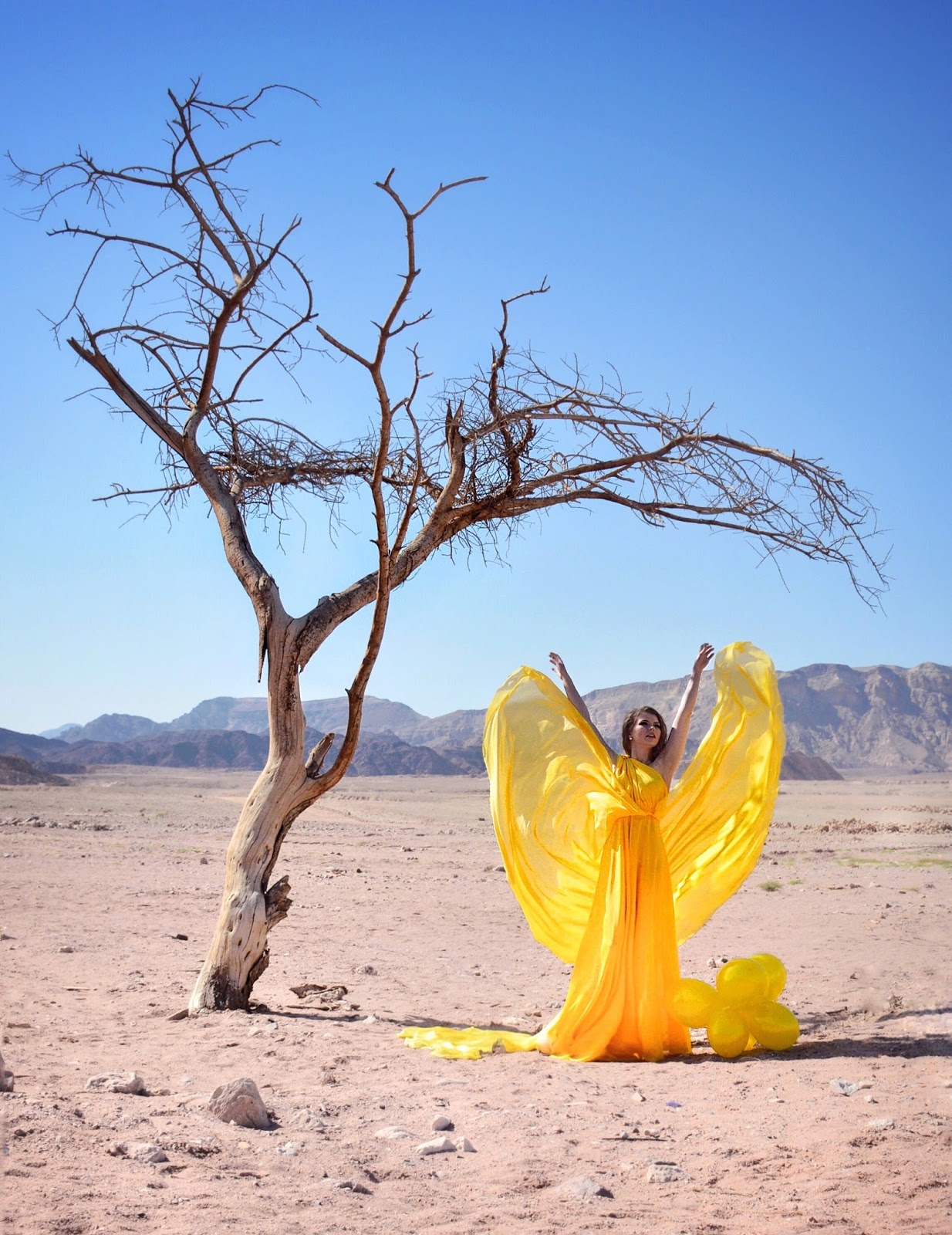 14-zapoznajte-ja-blogerkata-vo-chii-fotografii-glavniot-zbor-go-imaat-fustanite-www.kafepauza.mk_