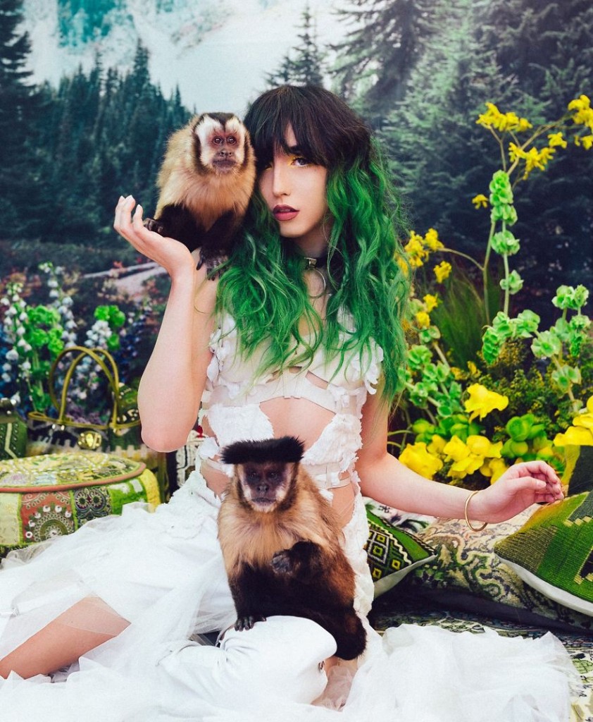 (15)prekrasni-fotografii-od-zhivotni-spaseni-od-crniot-pazar-kafepauza.mk