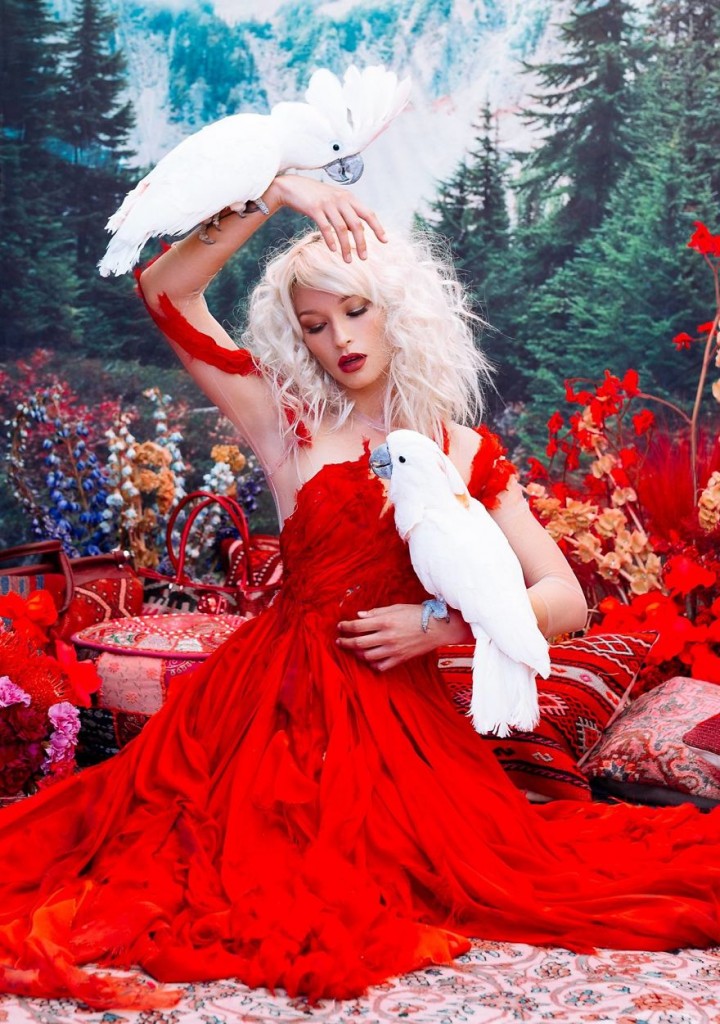 (66)prekrasni-fotografii-od-zhivotni-spaseni-od-crniot-pazar-kafepauza.mk