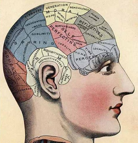 (6)koi-se-slednite-chekori-vo-evolucijata-na-chovekot-kafepauza.mk