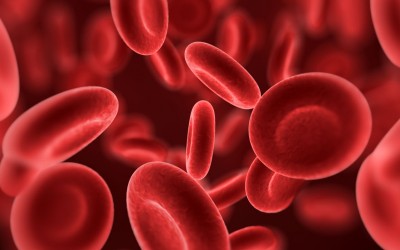 Зошто треба да си ја знаете својата крвна група?