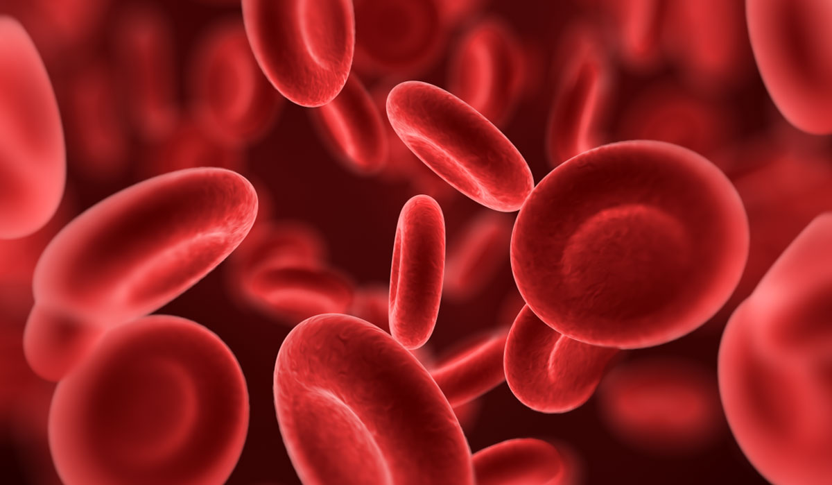 Зошто треба да си ја знаете својата крвна група?