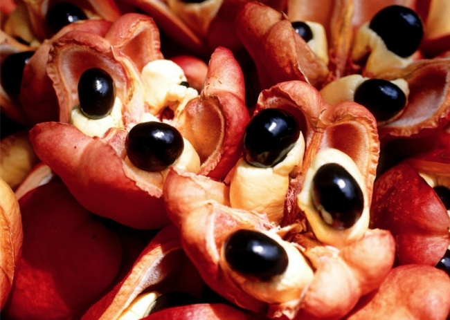 (11) traditional dish of the Arctic indigenous peoples