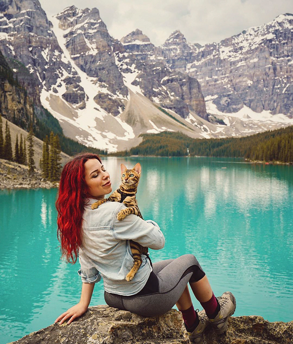 Запознајте ја Суки: Мачката што сигурно патува повеќе од вас!