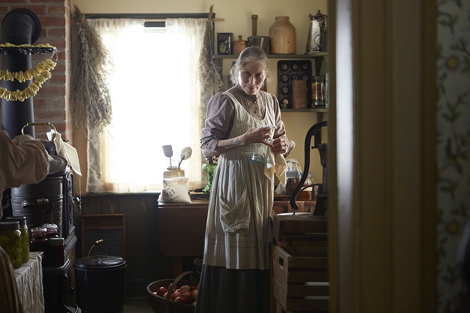 (3) tv-serija-en-anne-with-an-e-www.kafepauza.mk