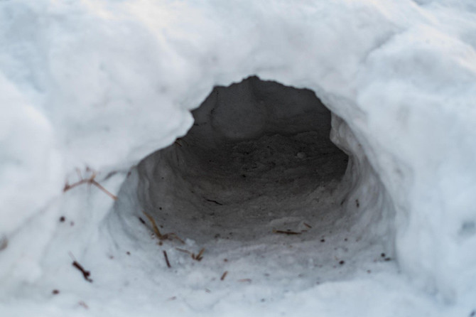 4-vo-koj-od-ovie-vlezovi-najmnogu-se-plashite-da-vlezete-vashiot-odgovor-otkriva-mnogu-povekje-otkolku-shto-ochekuvate-www.kafepauza.mk_