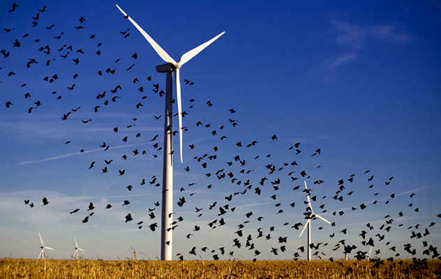 (4)10-slucajni-nesakani-efekti-od-novite-tehnologii-kafepauza.mk