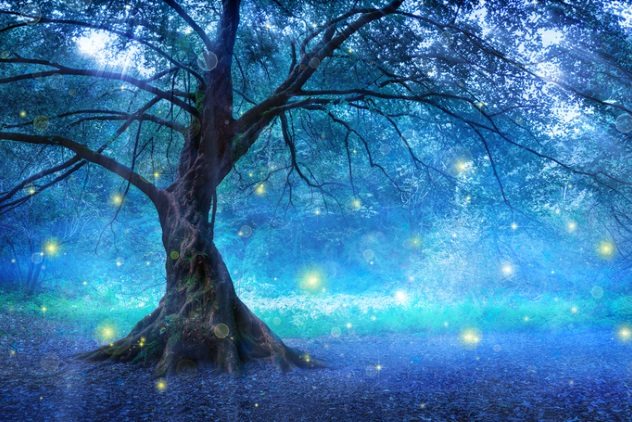 (6)10-bizarni-prikazni-za-natrpirodnoto-od-17-ti-vek-kafepauza.mk