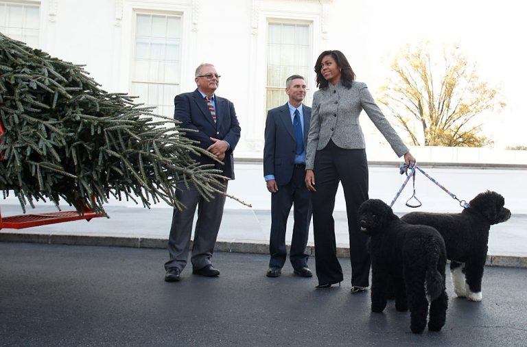 (6)11-te-rabotni-mesta-koi-imaat-najlosho-vlijanie-na-ljubovnite-vrski-kafepauza.mk