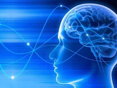 Луѓето знаат дека се мртви бидејќи мозокот продолжува да функционира по смртта