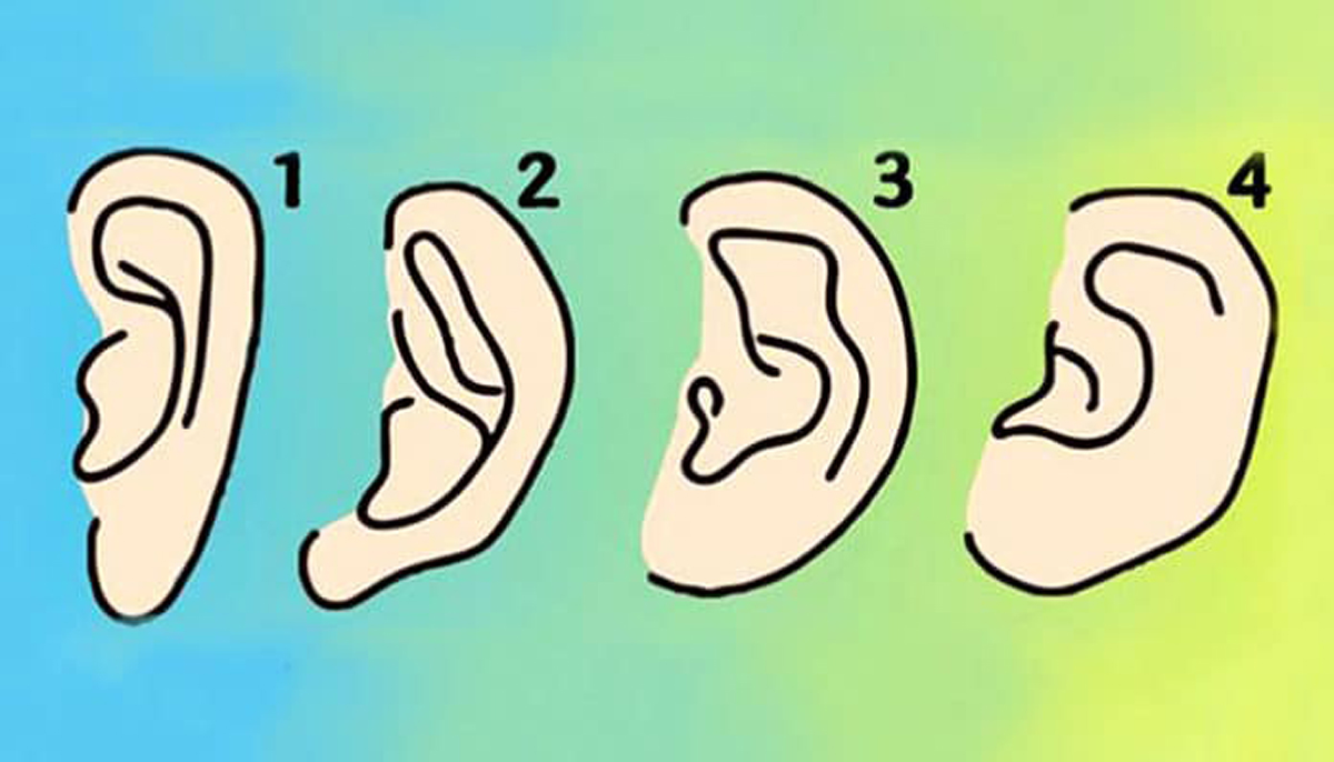 Пронајдете го обликот на вашите уши и дознајте нешто повеќе за себе