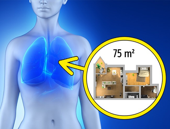 15 чудни факти што нема да ви се верува дека се вистинити